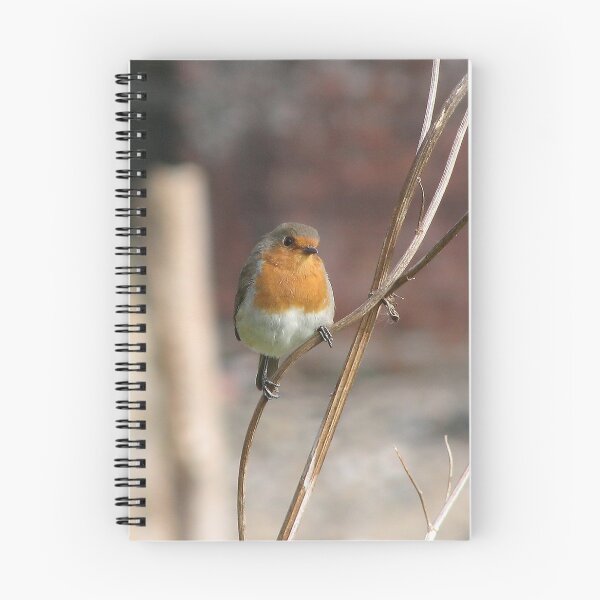 Item preview, Robin designed and sold by John (Mike)  Dobson.