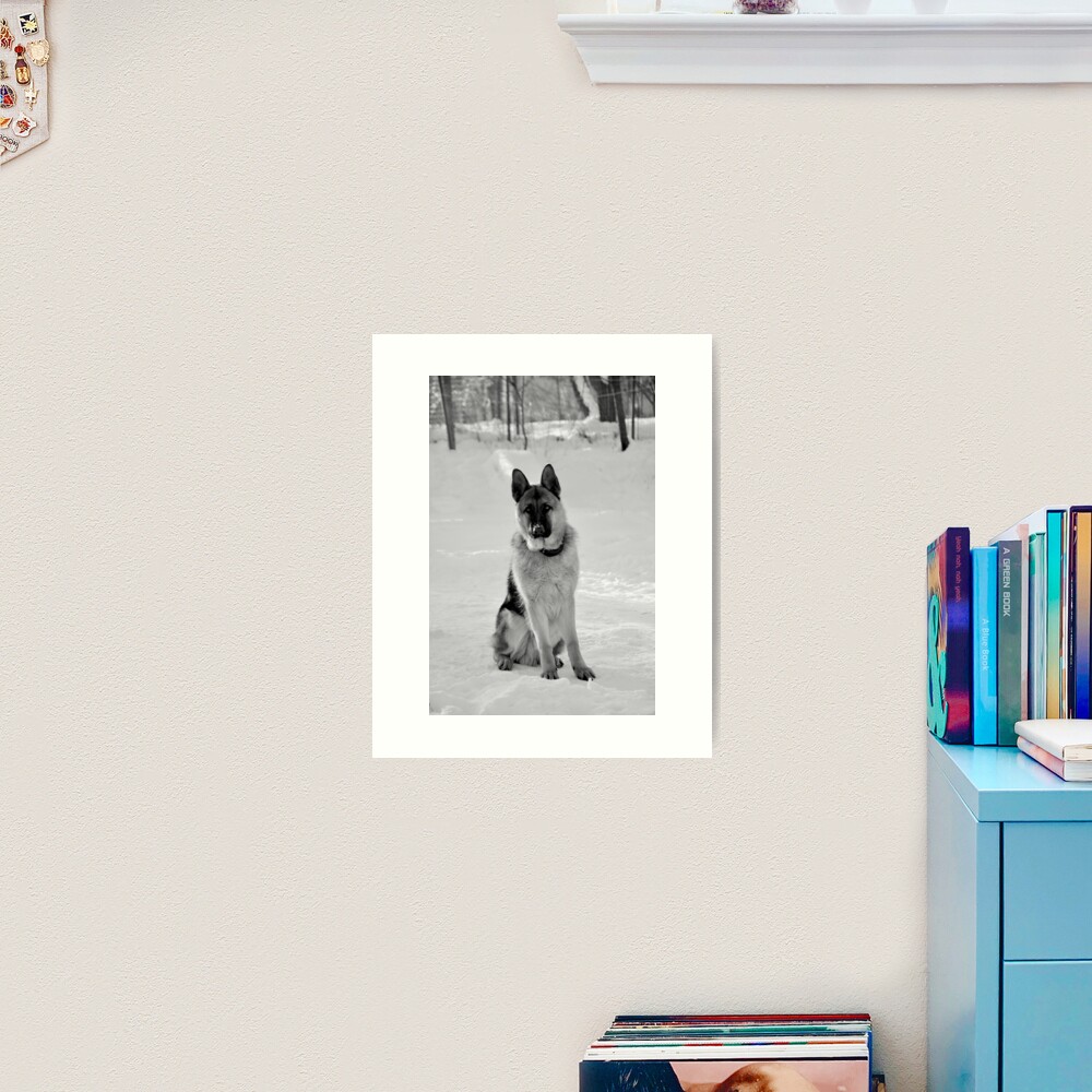 Staying watch - German shepherd Art Print