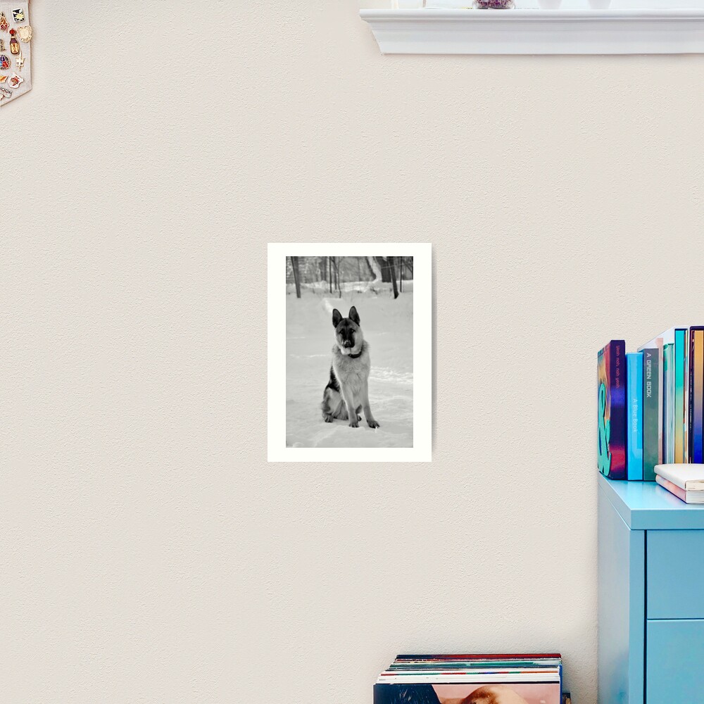 Staying watch - German shepherd Art Print