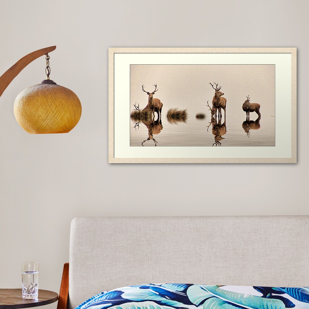 Deer on the Water Framed Art Print