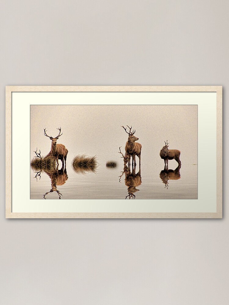 Alternate view of Deer on the Water Framed Art Print