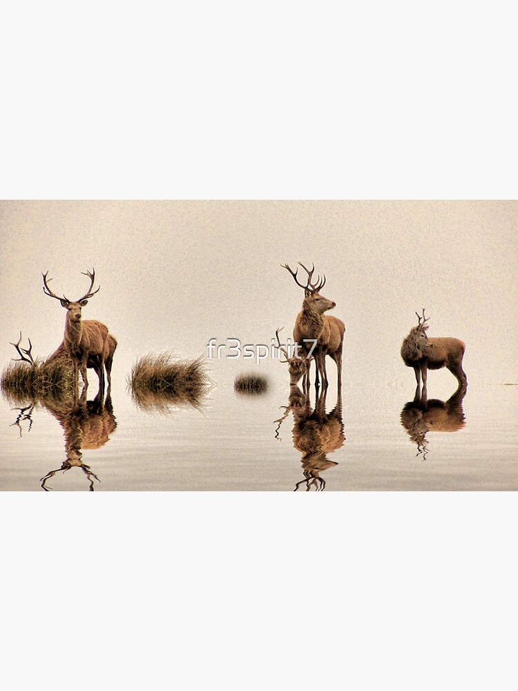 Deer on the Water by fr3spirit7