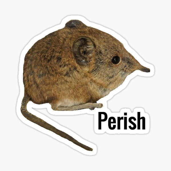 Item preview, Perish designed and sold by Molespignoses.