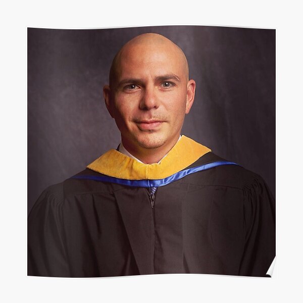 Feeling- Pitbull Poster