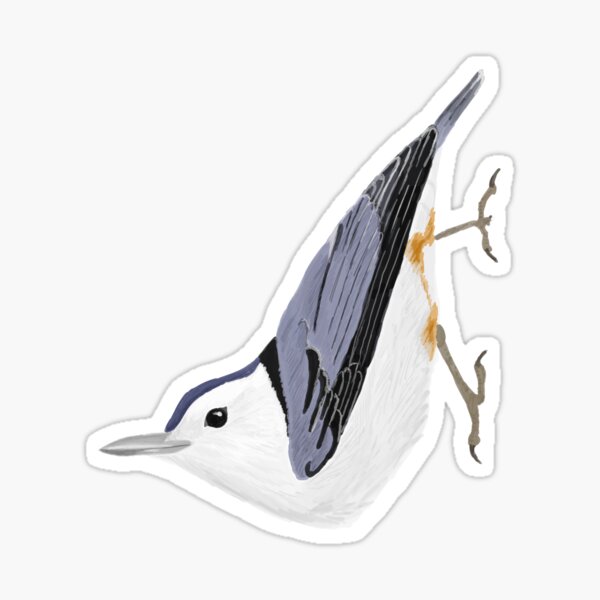 Item preview, White-breasted Nuthatch designed and sold by Percy Ulsamer.