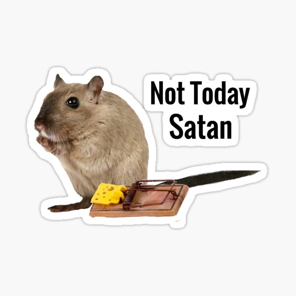 Not Today Sticker