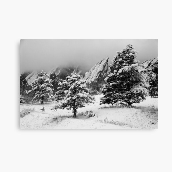 Winter Wonderland Walk Canvas Print