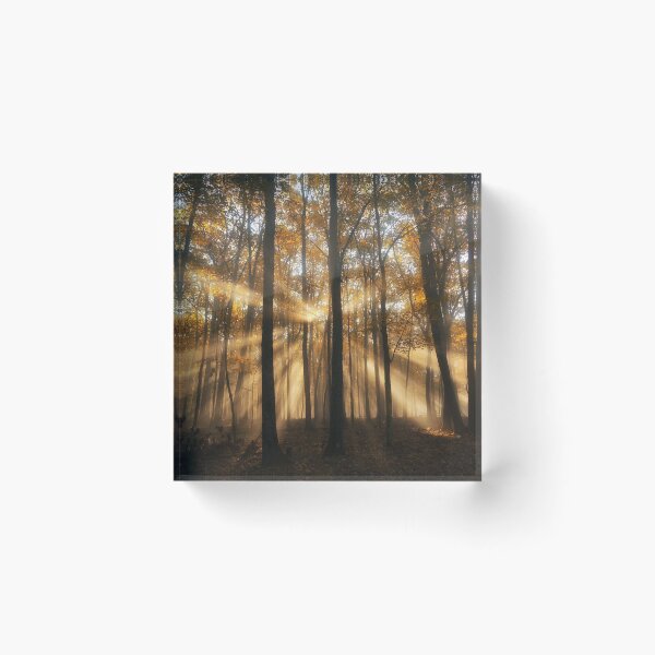 Item preview, "Soul of the Forest designed and sold by RCNaturephotos.