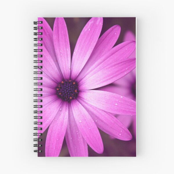 Item preview, Daisy Delight designed and sold by LeanneAllen.