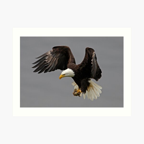 Braking Hard Art Print