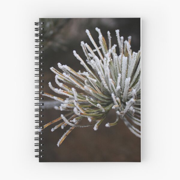 Item preview, PomPom designed and sold by Katagram.