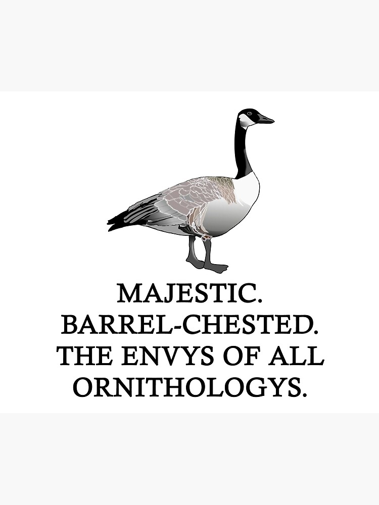 "Letterkenny Canada Gooses" Poster for Sale by Majunior Redbubble