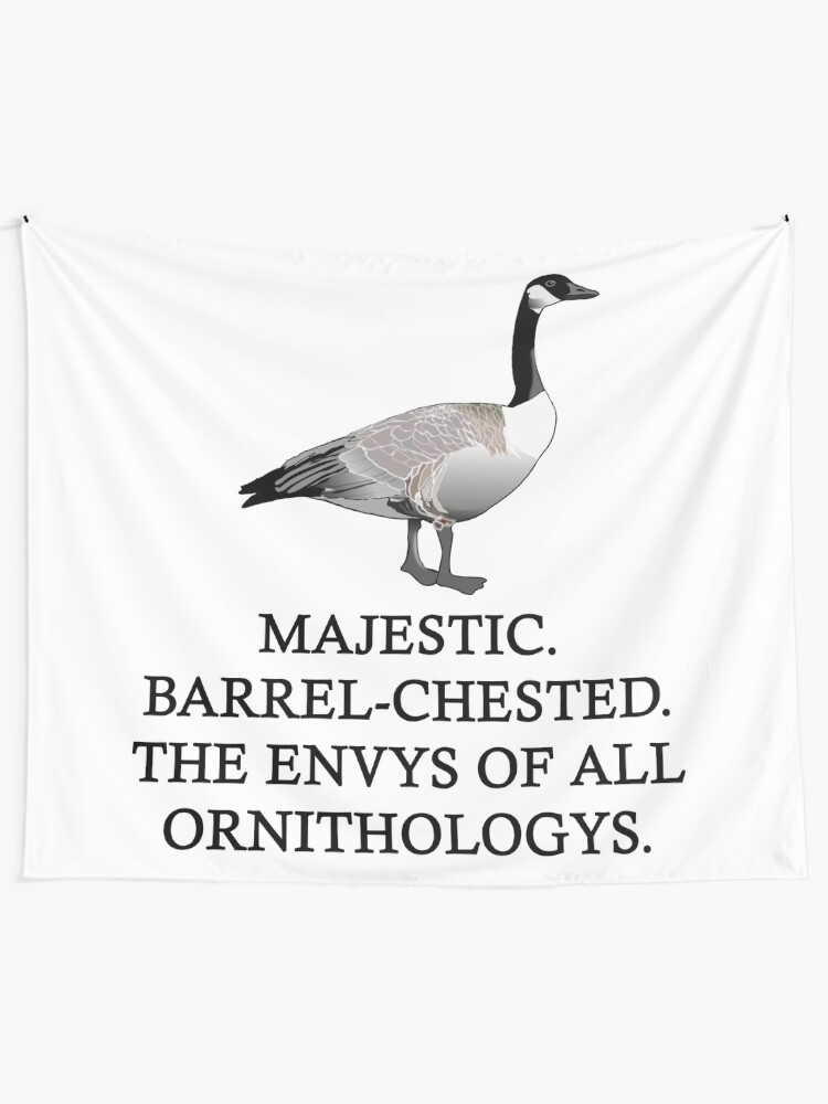 letterkenny canadian goose quotes