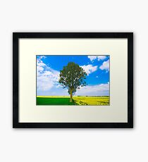 Vincent Framed Print