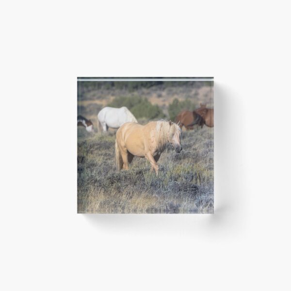 Item preview, Wild Mustangs designed and sold by sgarton.