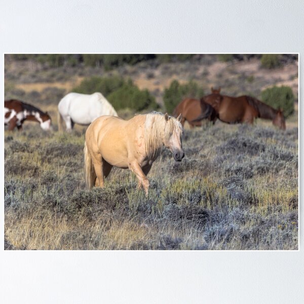 Item preview, Wild Mustangs designed and sold by sgarton.