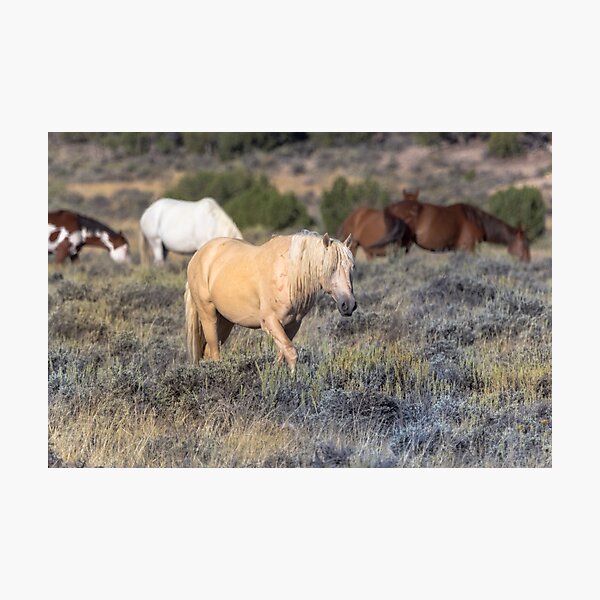 Item preview, Wild Mustangs designed and sold by sgarton.