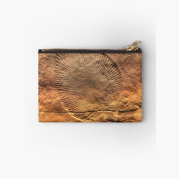 Item preview, Fossil Dickinsonia Costata designed and sold by etakkate.