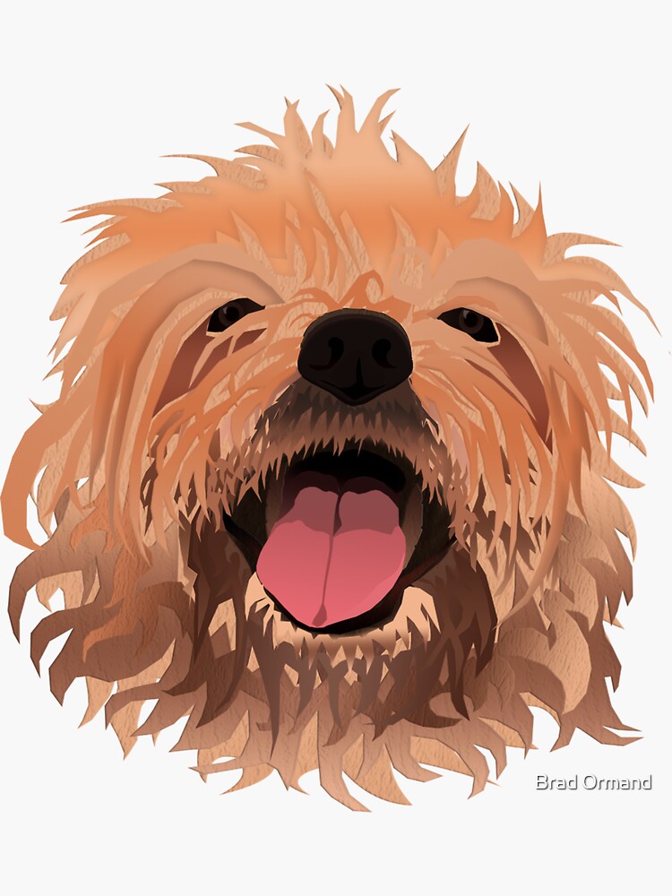 Furry Scruffy Dog by BradOrmand