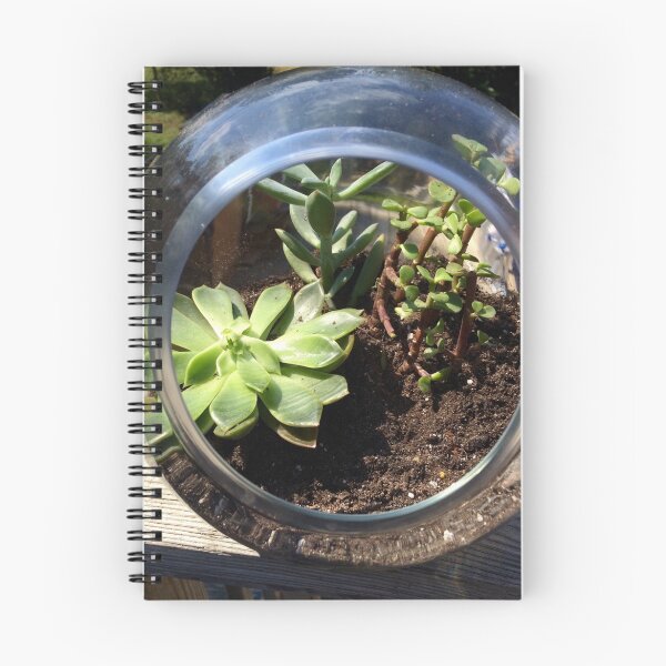 Item preview, Cactus & Succulents designed and sold by AmandaWardrop.