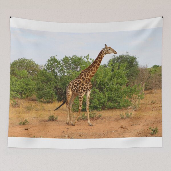 Item preview, Giraffe on the move, Chobe, Botswana, Africa designed and sold by FranWest.