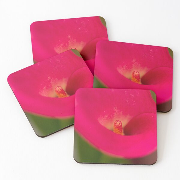 Item preview, Canna Delight designed and sold by Brenda Burnett.