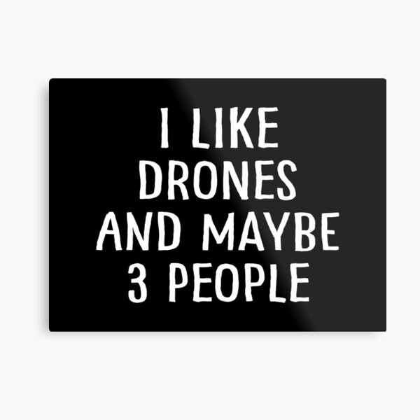 I Like Drones and Maybe 3 People Metal Print