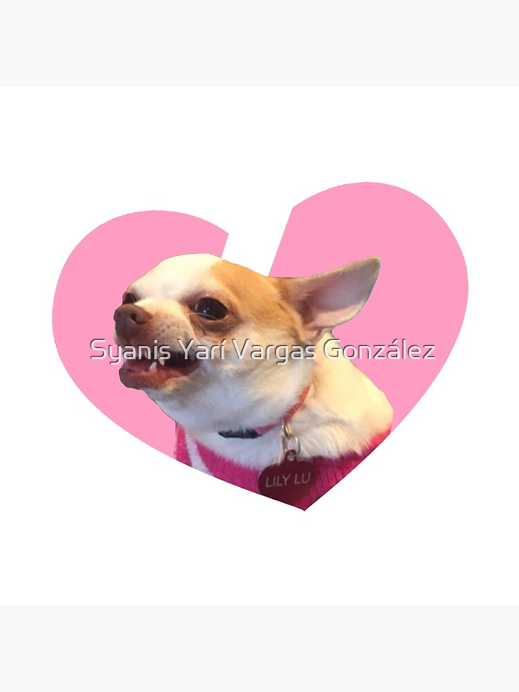 Angry Chihuahua Happy Chihuahua Meme Pink Heart Design Tote Bag By Svargasg Redbubble