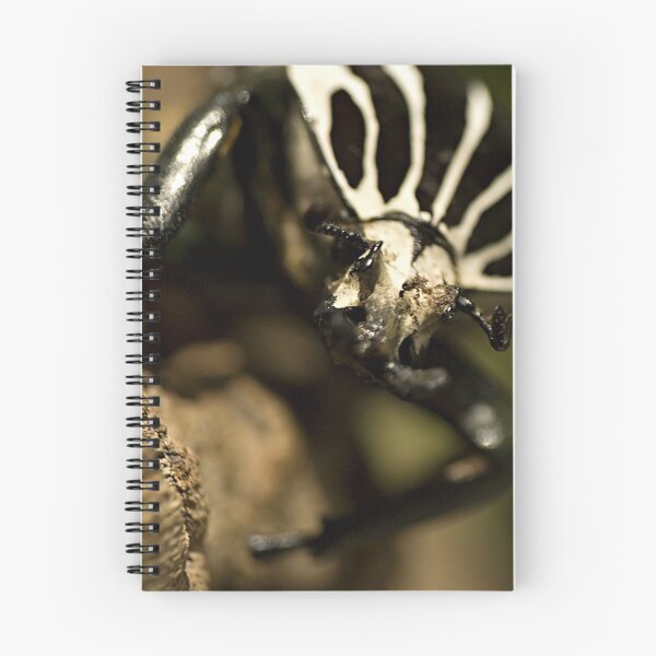 Item preview, Goliath beetle designed and sold by Yannik Hay.