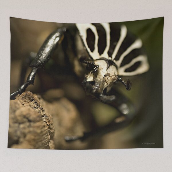 Item preview, Goliath beetle designed and sold by Yannik Hay.