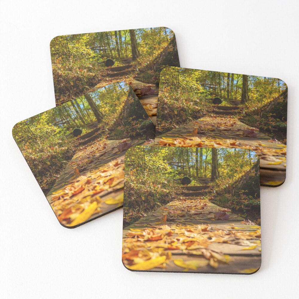 Item preview, Coasters (Set of 4) designed and sold by ZTheCrazed.