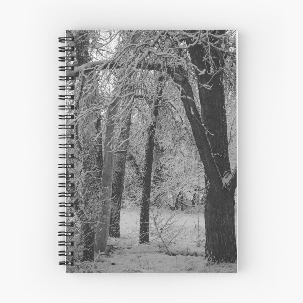 Item preview, Monochrome Glade designed and sold by beltanemaiden.