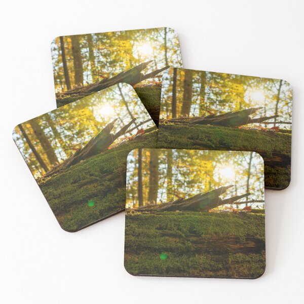 Item preview, Sunny Log designed and sold by ZTheCrazed.