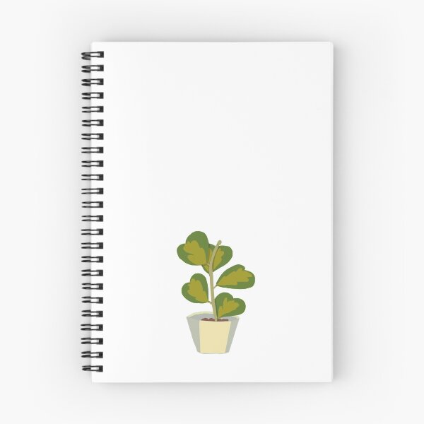 Artikelvorschau, Hoya Kerri entworfen und verkauft von plantyboi.