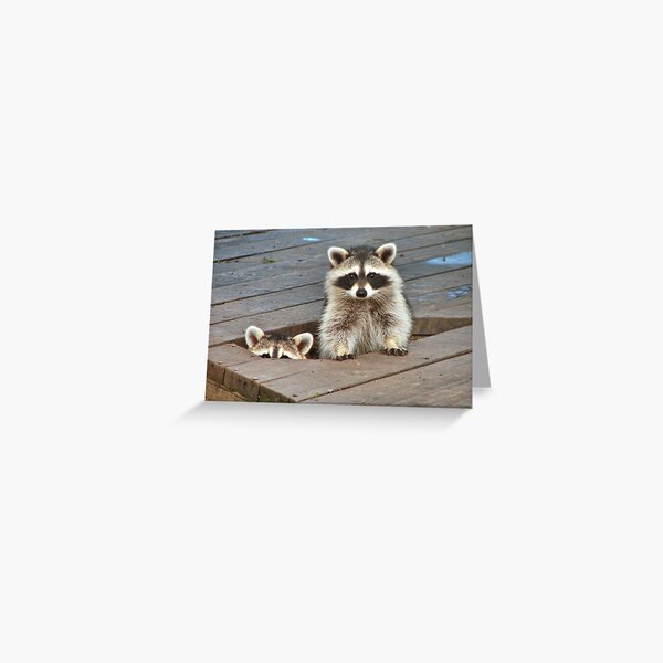 Peek-A-Boo Greeting Card