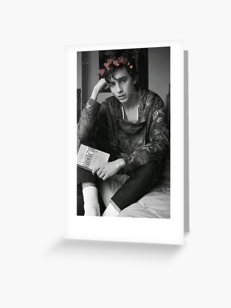 Timothée Chalamet Postcard by daddyhiddlest