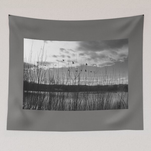 Item preview, Flight School designed and sold by Katagram.