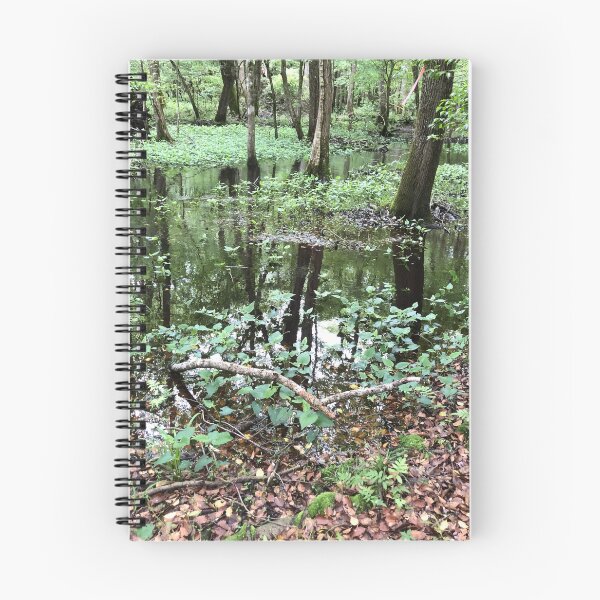 Item preview, Peaceful Creek Scene designed and sold by Twittlefish.