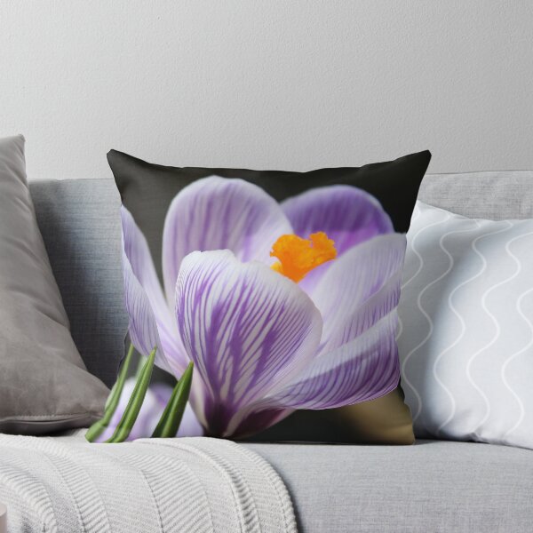 Item preview, Beautiful Variegated Crocus designed and sold by anitahiltz.