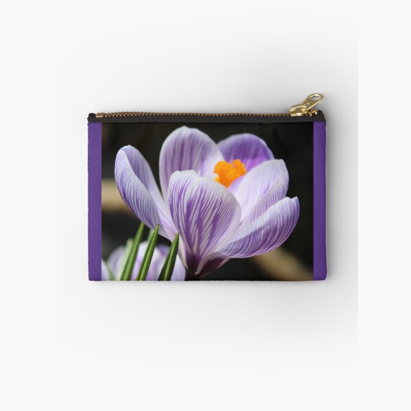 Item preview, Beautiful Variegated Crocus designed and sold by anitahiltz.