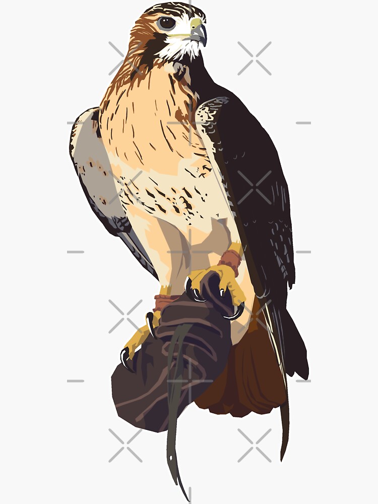 100cm HUNTING RAPTOR HAWK FALCON EAGLE FALCONRY BIRD OF PREY VAN STICKER DECAL 