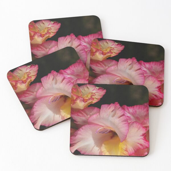 Item preview, Gladiolus Flowers Hot Display designed and sold by Joy Watson - Natural Light Photography .