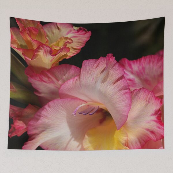 Item preview, Gladiolus Flowers Hot Display designed and sold by Joy Watson - Natural Light Photography .
