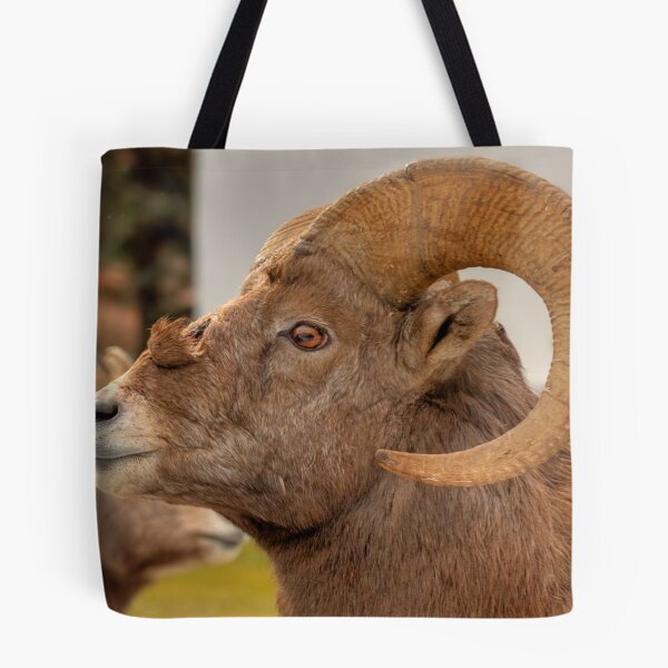 Item preview, War Wound! (2) designed and sold by James (820Photography) Anderson.