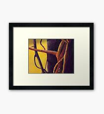 Vine on a porch Framed Print