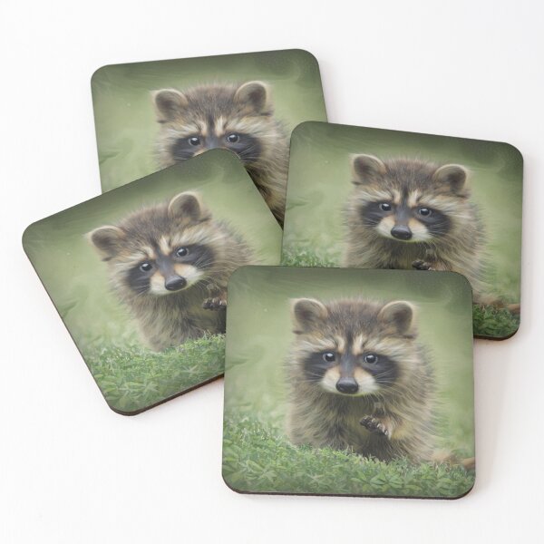 Item preview, Baby Raccoon designed and sold by Heathermarie321.