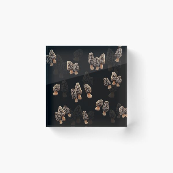 Item preview, Morels designed and sold by CoyoteRain.