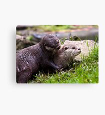 Just one kiss please! Canvas Print