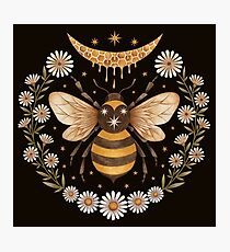 Honey moon Photographic Print