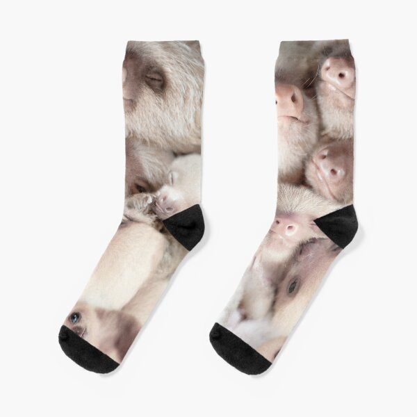 Baby Sloth Socks Redbubble